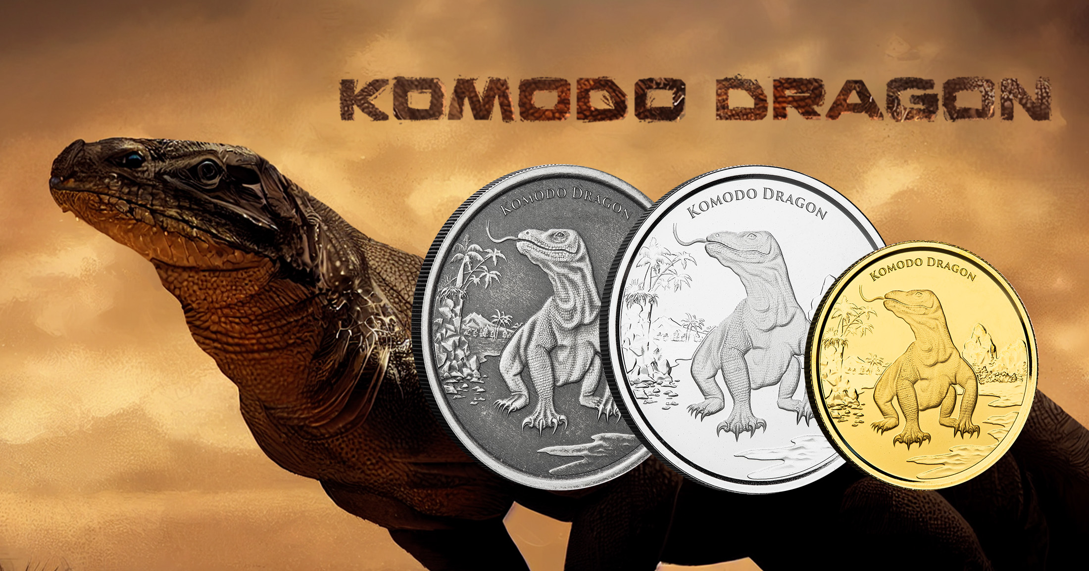 New Series: Komodo Dragon