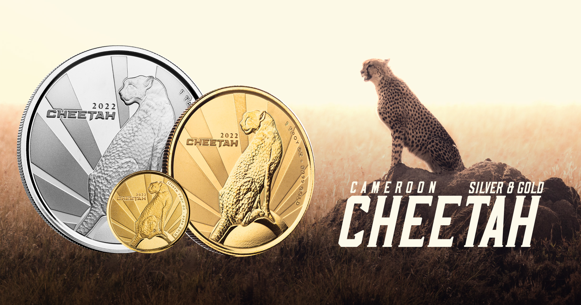 New Release: Cheetah