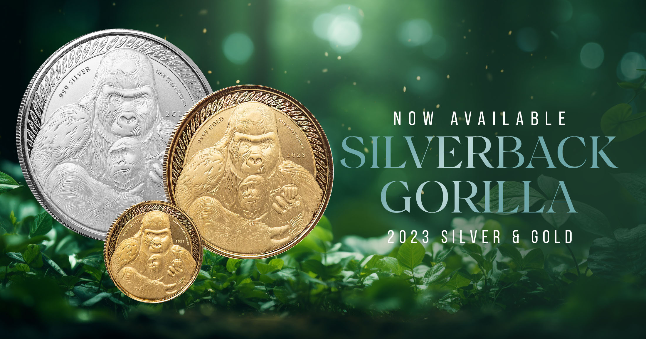 Just Released: 2023 Silverback Gorilla