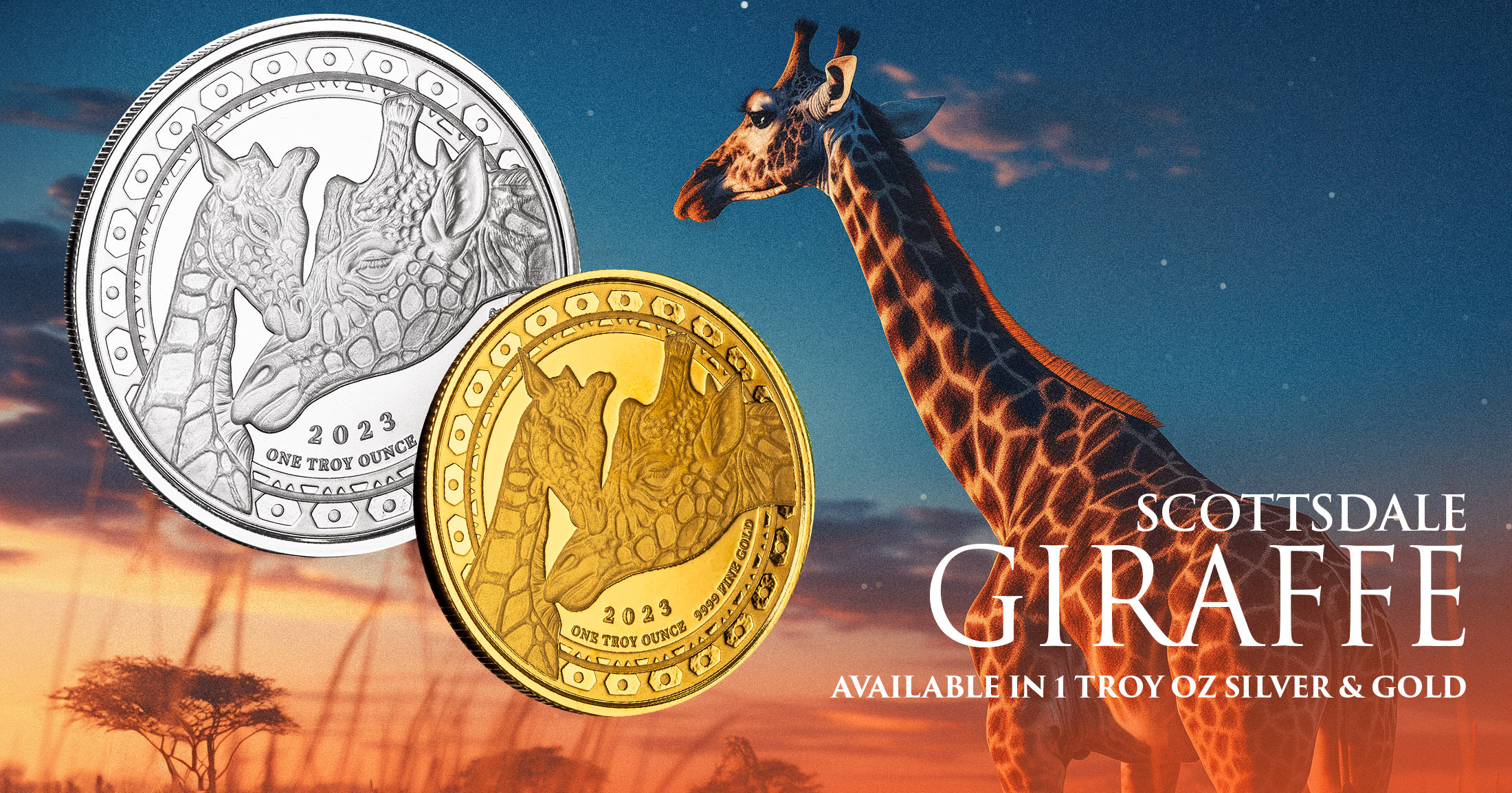 Just Released: Giraffe
